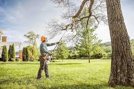 Best Leaf Removal  in Cudahy, CA