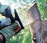 Best Utility Line Clearance  in Cudahy, CA